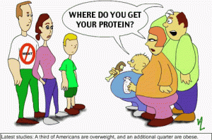 where_do_you_get_your_protein