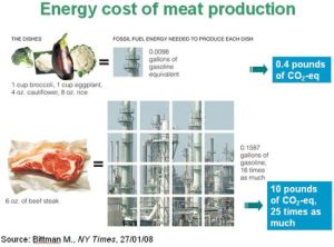 energy-cost-of-meat-product_xDDn7_22978