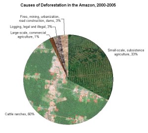 deforestation-in-the-amazon